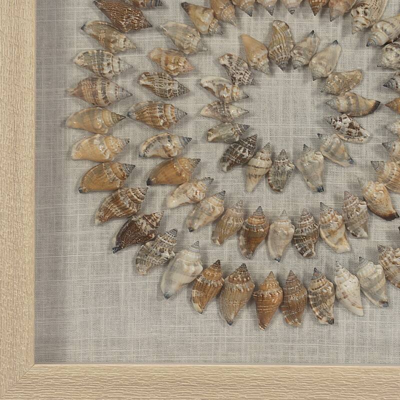 HUJI Sea Shell Rings Shadow Box Wall Décor Set