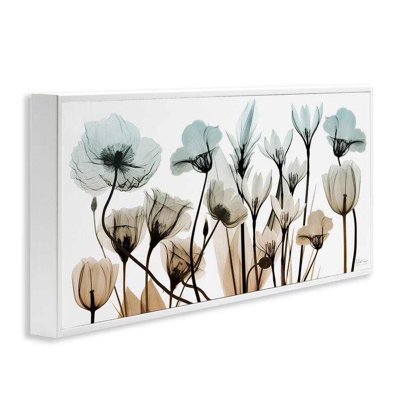 Stupell Mixed X-Ray Flowers Framed Giclee Art Design by Albert Koetsier