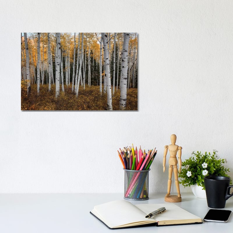 iCanvas "Aspen Forest In Autumn" by Bill Sherrell Canvas Print - 8x12x0.75