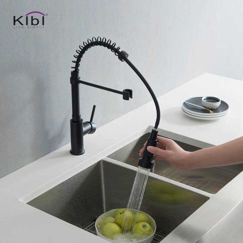 Aurora Single Handle Pull Down Kitchen Sink Faucet