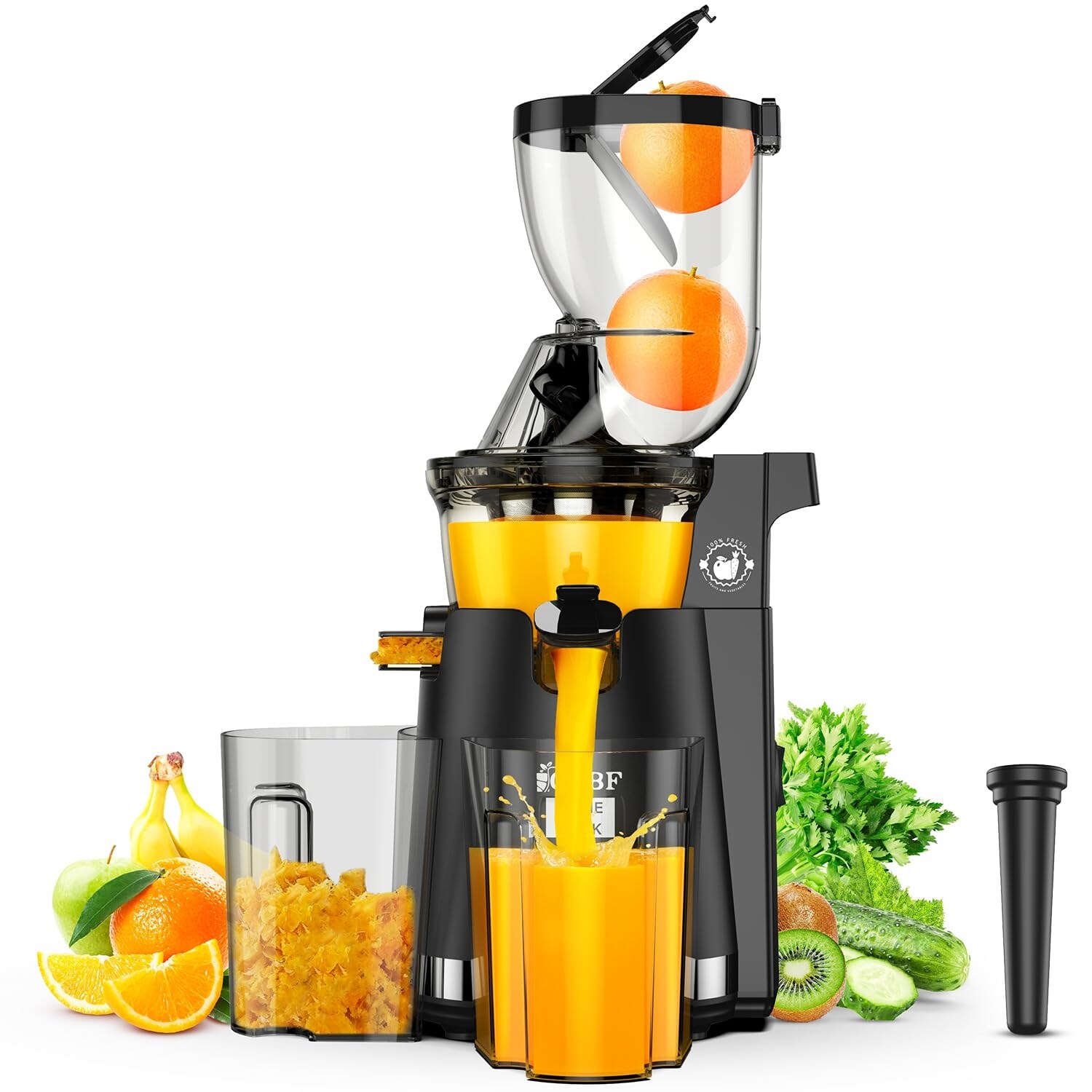 Cold Press Juicer Machines, 300W Slow Masticating Juicer Machines with