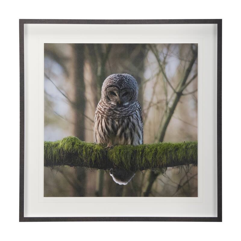Forest Owl Framed Art Print