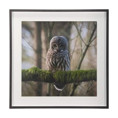 Forest Owl Framed Art Print