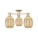 Option Champagne Bronze / Mercury