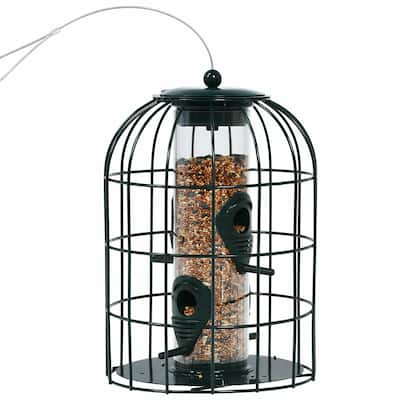 Squirrel-Proof Bird Feeder with Sturdy Iron Cage and Multiple Feeding Ports for Small Birds - 7'' x 7'' x 10'' (L x W x H)