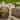 Country Gardens 2-Tier intelliSOLAR Fountain with Remote - Weathered Stone - N/A