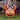 Gemmy Airblown Cutie Minnie Mouse Disney, 3 ft Tall, Orange