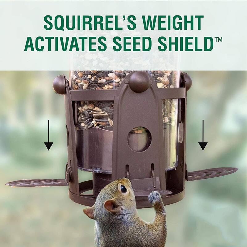 Squirrel Proof Bird Feeder with WeightActivated Perches Bed Bath