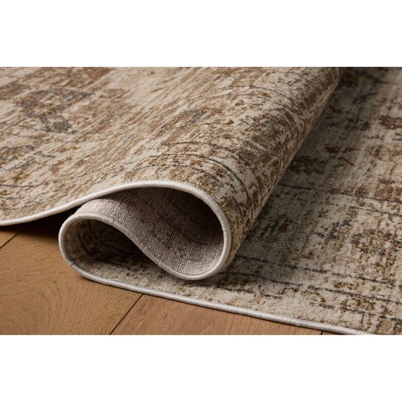 Alexander Home Halden Traditional Area Rug
