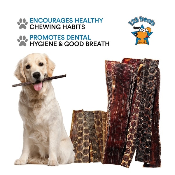 healthy dog chews that last
