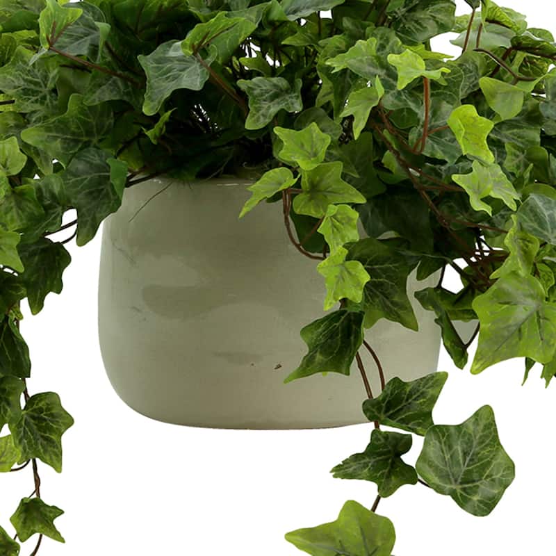 Ivy Arrangement in a Ceramic Pot - Green