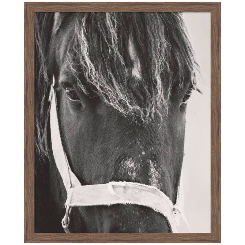 Kate and Laurel Black Horse by Emiko and Mark Franzen F2 Images Framed Wall Art Print - 34 x 42 - Brown