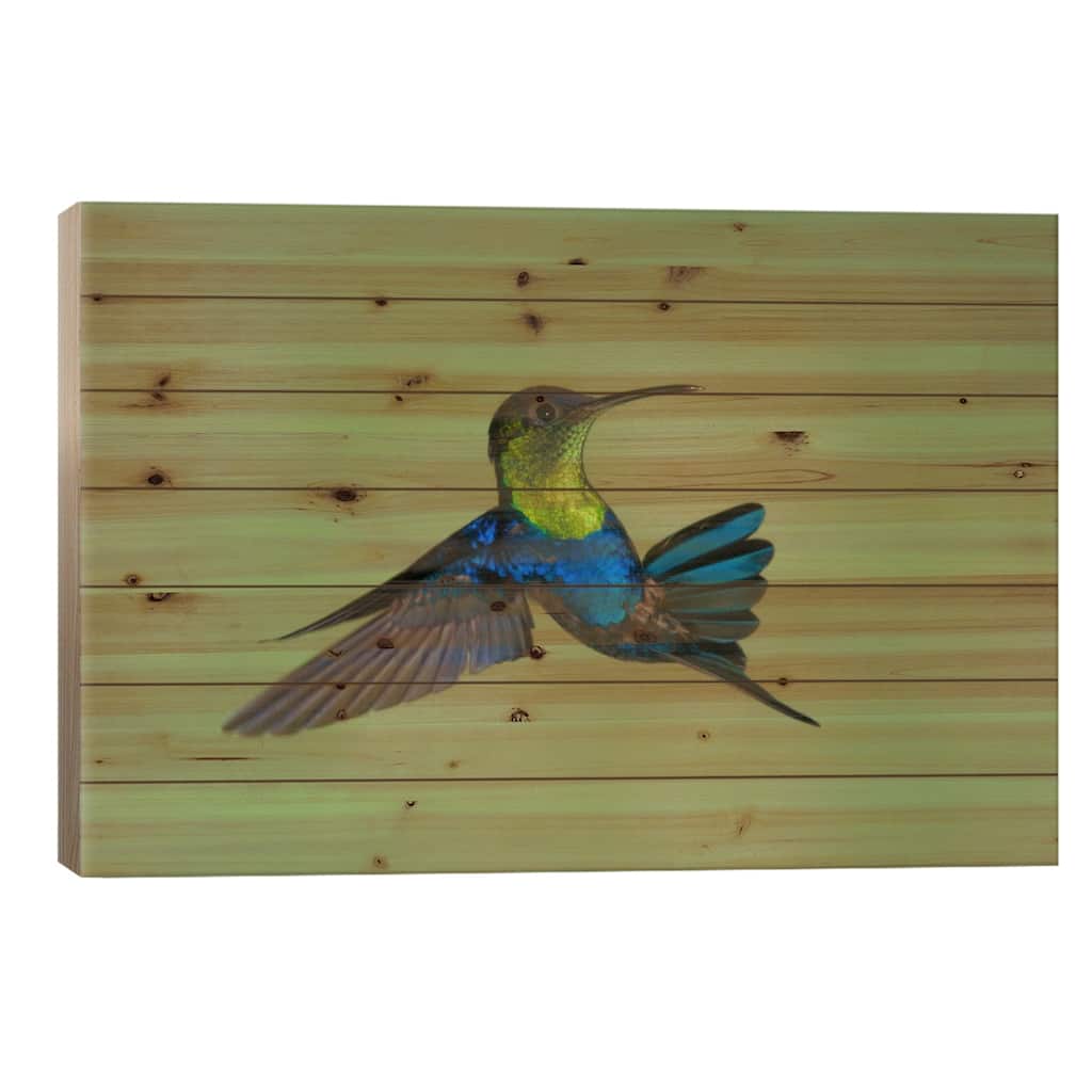 Violet-Crowned Woodnymph Hummingbird Male Flying, Costa Rica Print On Wood by Steve Gettle - Multi-Color
