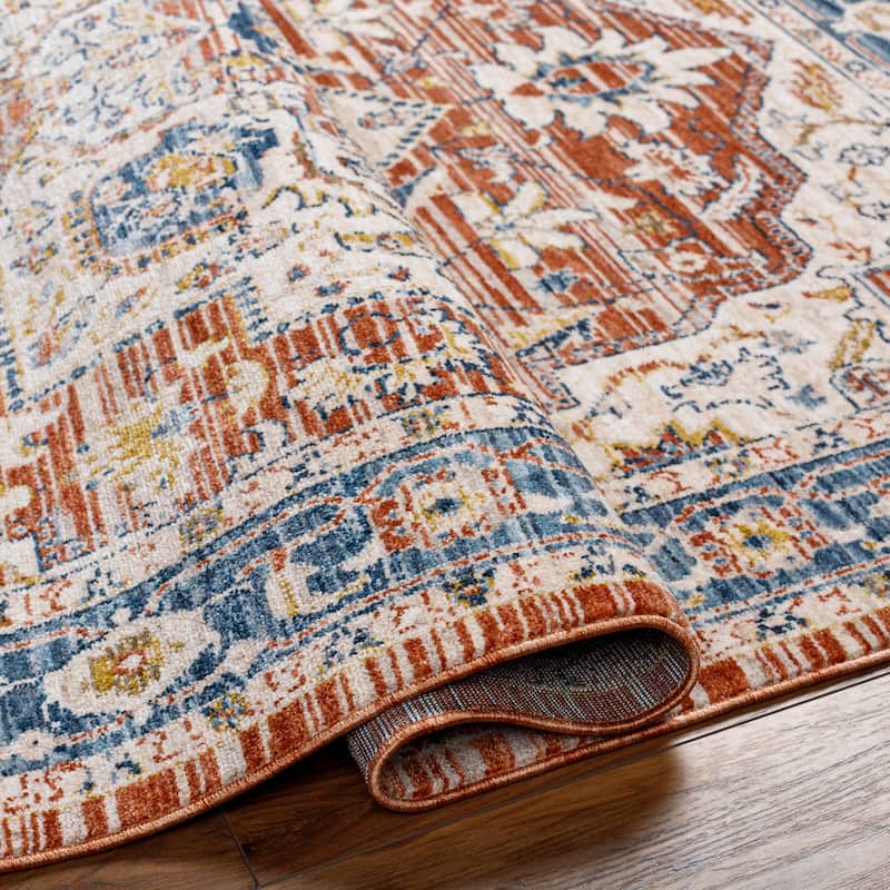 Niengold Traditional Medallion Area Rug
