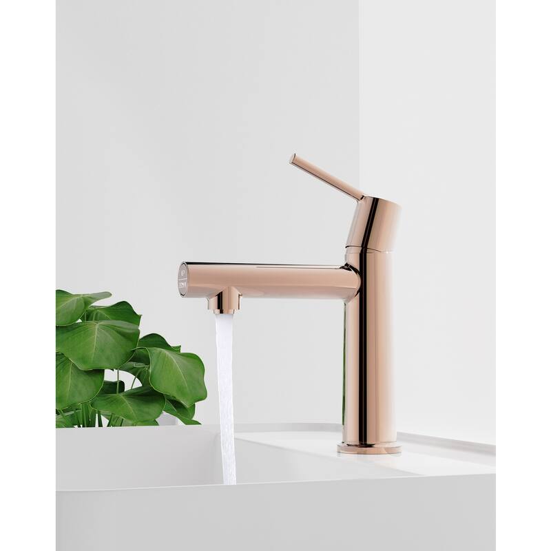 Single Handle Bathroom Faucet with Deck For 1 or 3 Holes,Laundry Vanity Sink Faucet with Two 9/16" Hoses