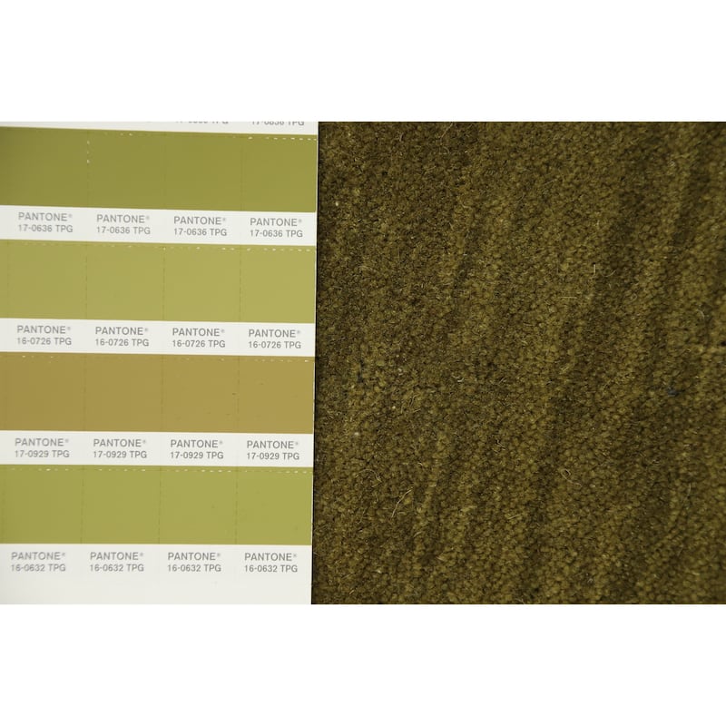 Hand Knotted Oriental 100% Wool Carpet Tribal Animal Pictorial Green Gabbeh Area Rug - 6' 11'' X 4' 7''