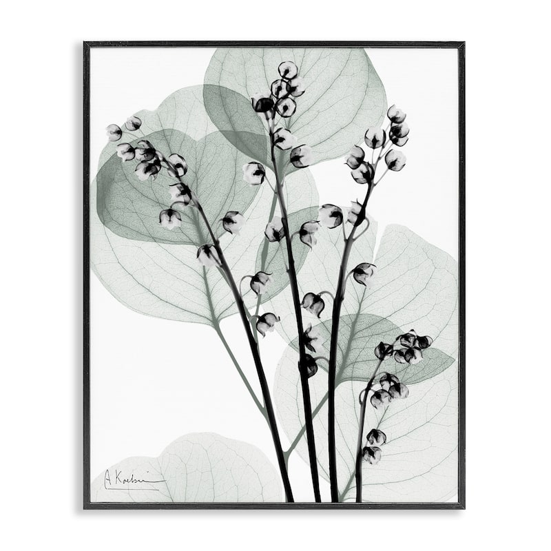 Stupell Fresh Minimalist Herbs Framed Giclee Art Design By Albert Koetsier - 11 x 14 - Black