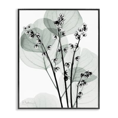 Stupell Fresh Minimalist Herbs Framed Giclee Art Design By Albert Koetsier