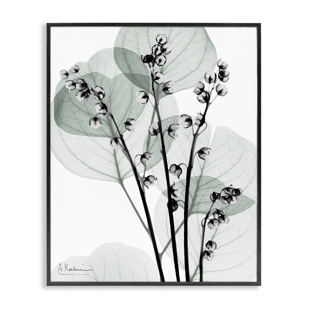 Stupell Fresh Minimalist Herbs Framed Giclee Art Design By Albert Koetsier