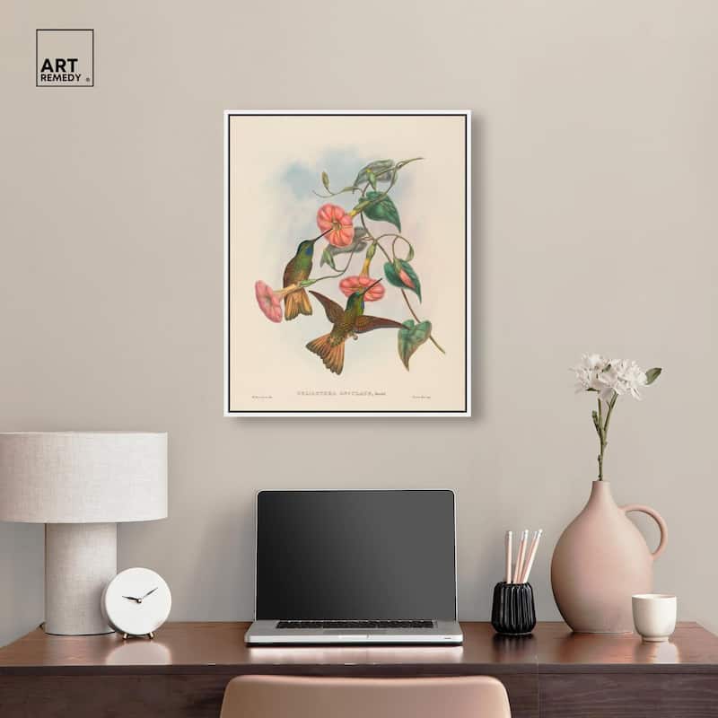 Gould's Hummingbirds Canvas by Art Remedy