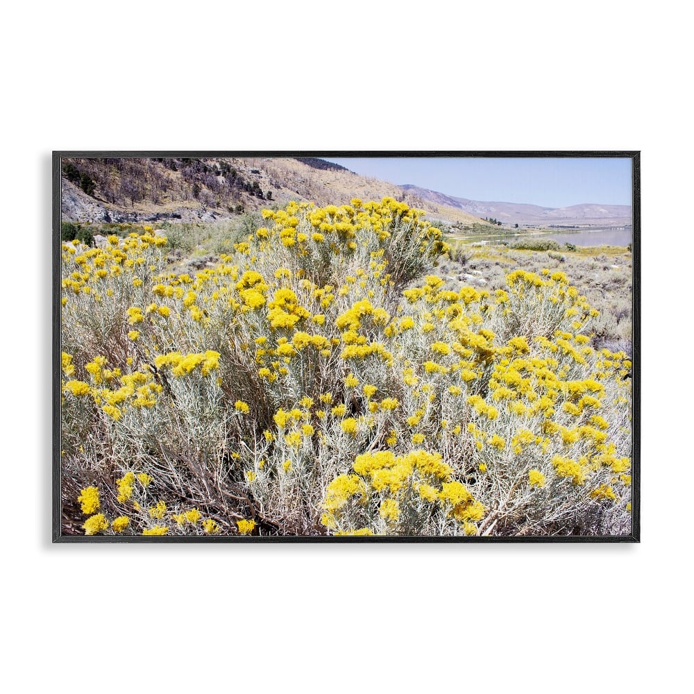Stupell Yellow Flowers in Arid Meadow Framed Giclee Art Design By Gemma Bardot