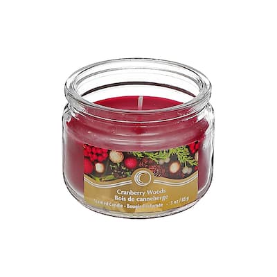 Christmas 3 Oz Scented Jar Candle Cranberry Woods - Set of 4 - N/A