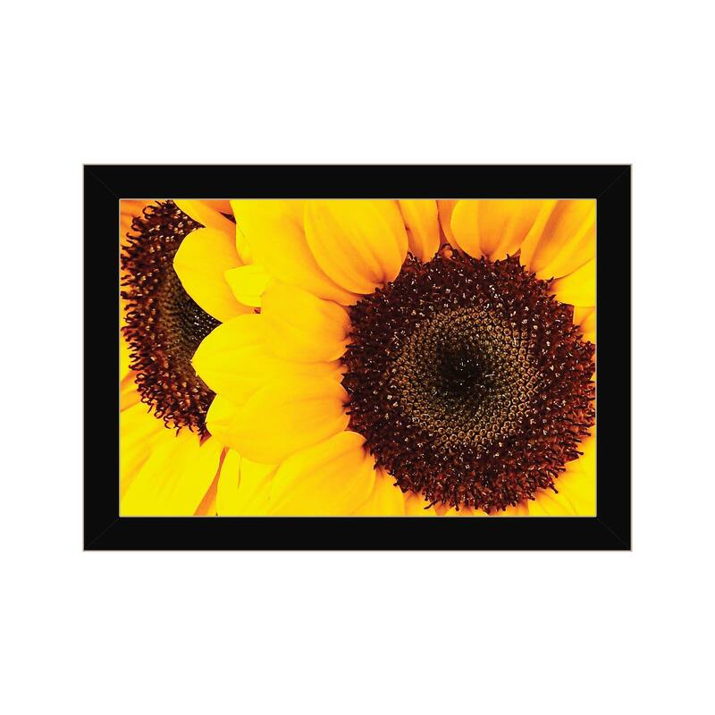 TrendyDecor4U Contemporary "Sunflower Portrait" Framed Print Wall Art - Black