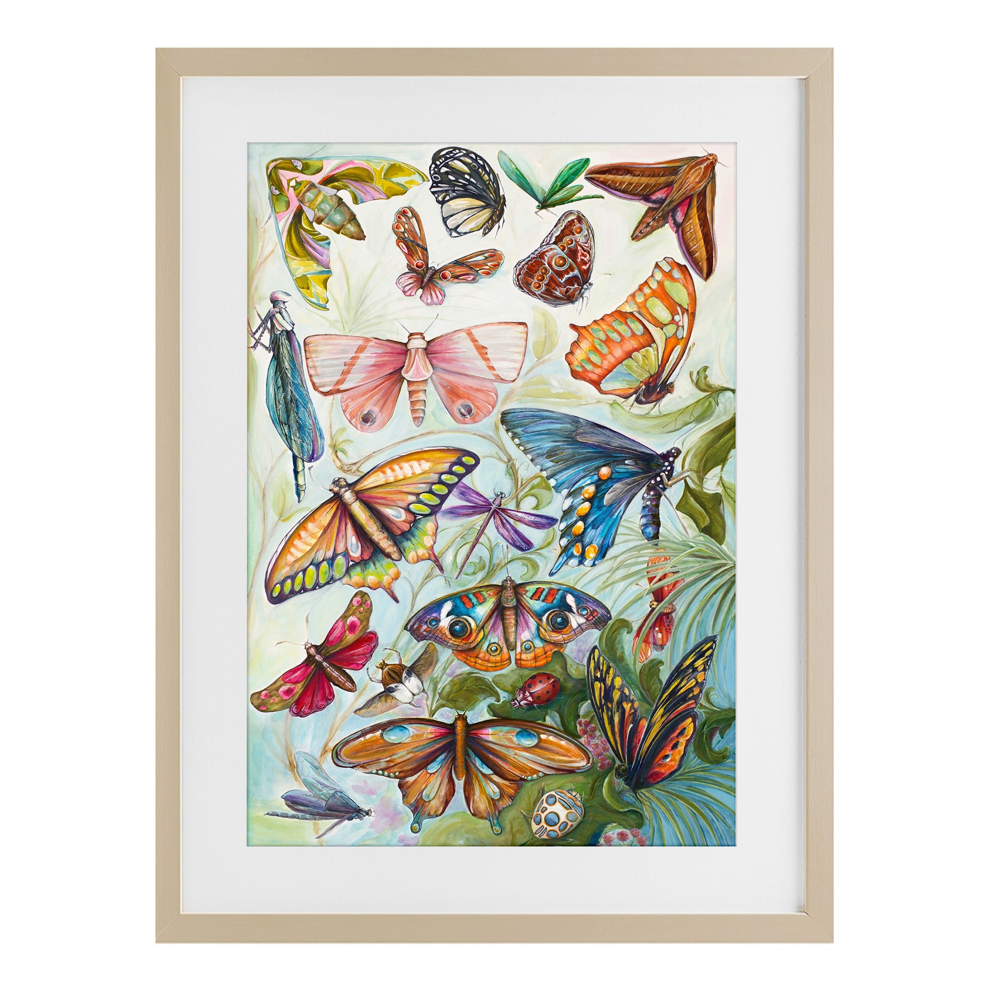 Stupell Colorful Butterfly Conservatory Under Glass Framed Design By Diannart