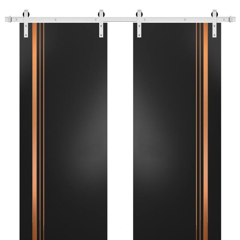 Sturdy Double Barn Door 36 x 80 with Planum 1010 Matte Black with 13FT - Black - 48" x 80" ( 2* 24x80)