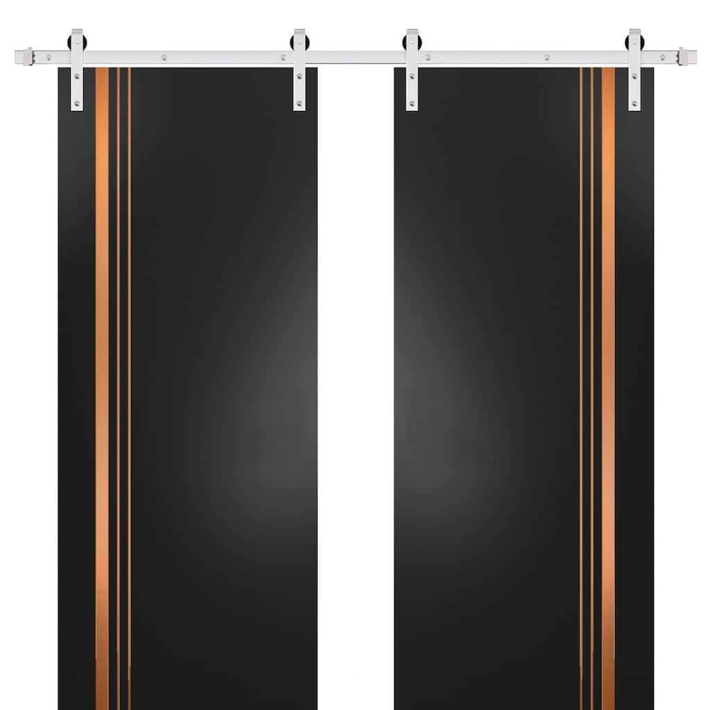 Sturdy Double Barn Door 36 x 80 with Planum 1010 Matte Black with 13FT