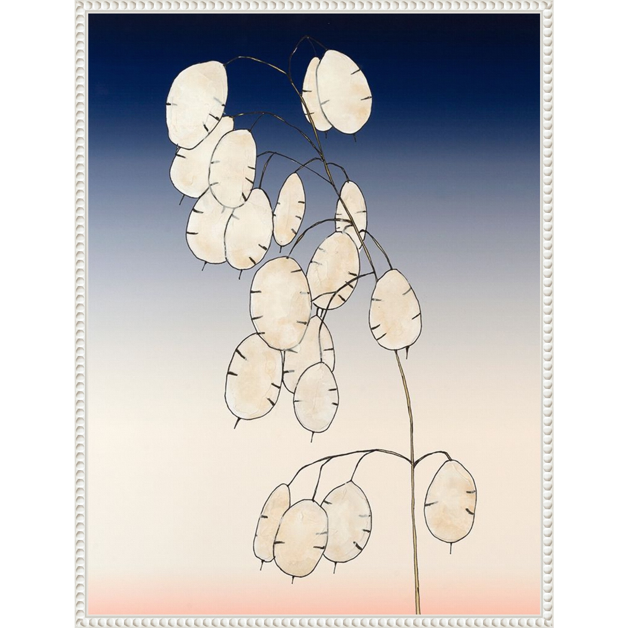 Amanti Art Money Plant II by Michael Willett Framed Canvas Wall Art Print - Sylvie Beaded White