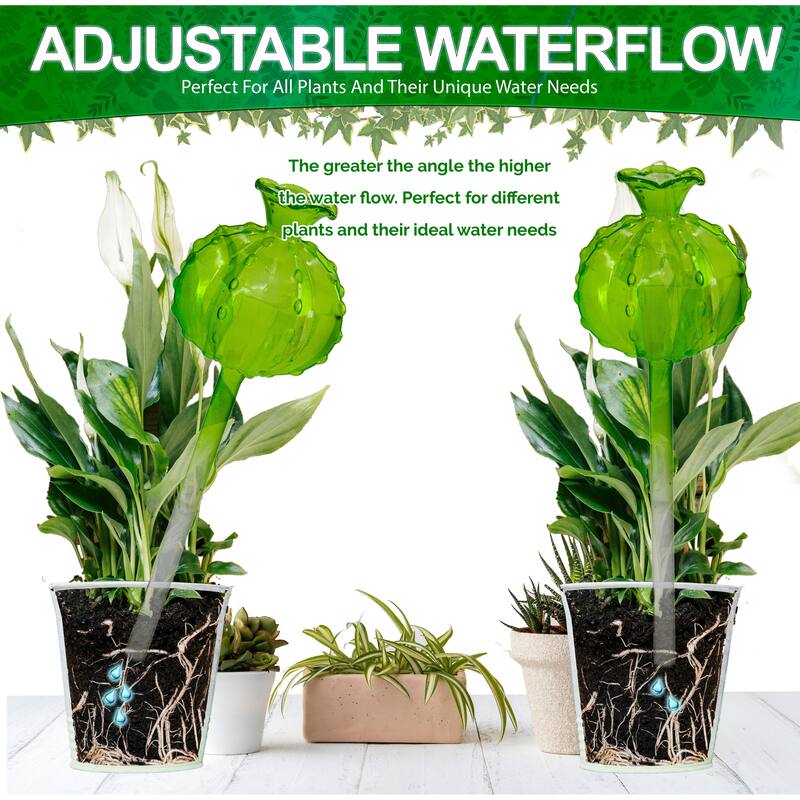 Aqua Glass Plant Watering Cactus Ball Globes - Automatic Self Watering Drip Irrigation Ideal for Vacation Plant Care