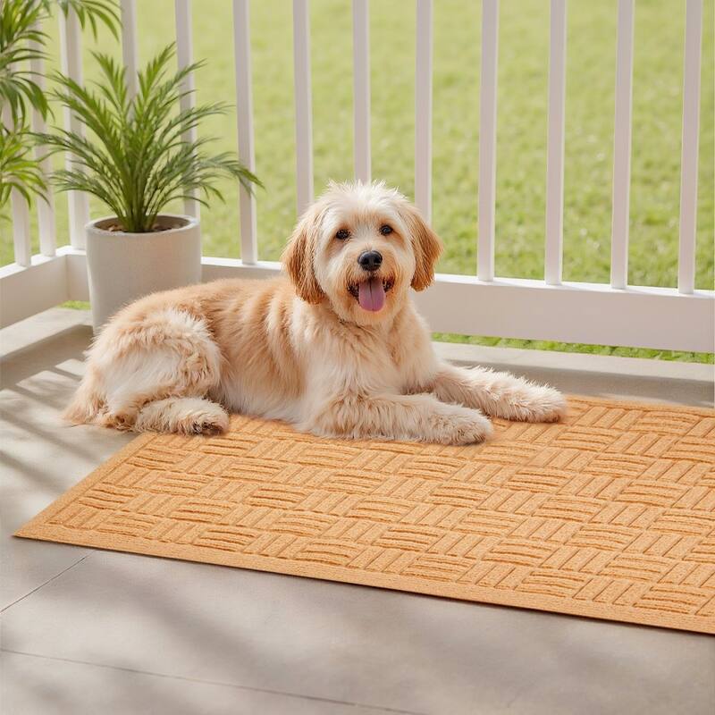 Beige Polyester Rubber Non-Slip Door Mat Absorbent Indoor Outdoor - 29.53 x 17.72 x 0.28 in
