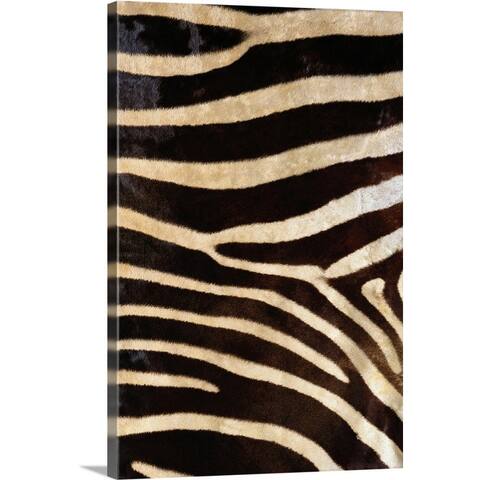 "Zebra Hide" Canvas Wall Art
