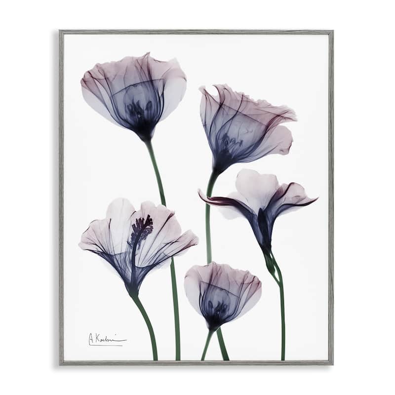 Stupell Subtle Fresh Flowers Framed Giclee Art Design By Albert Koetsier - 16 x 20 - Grey