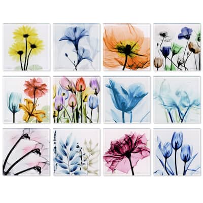 Super White Glass Coasters with Cork Bottom - set of 12 florals