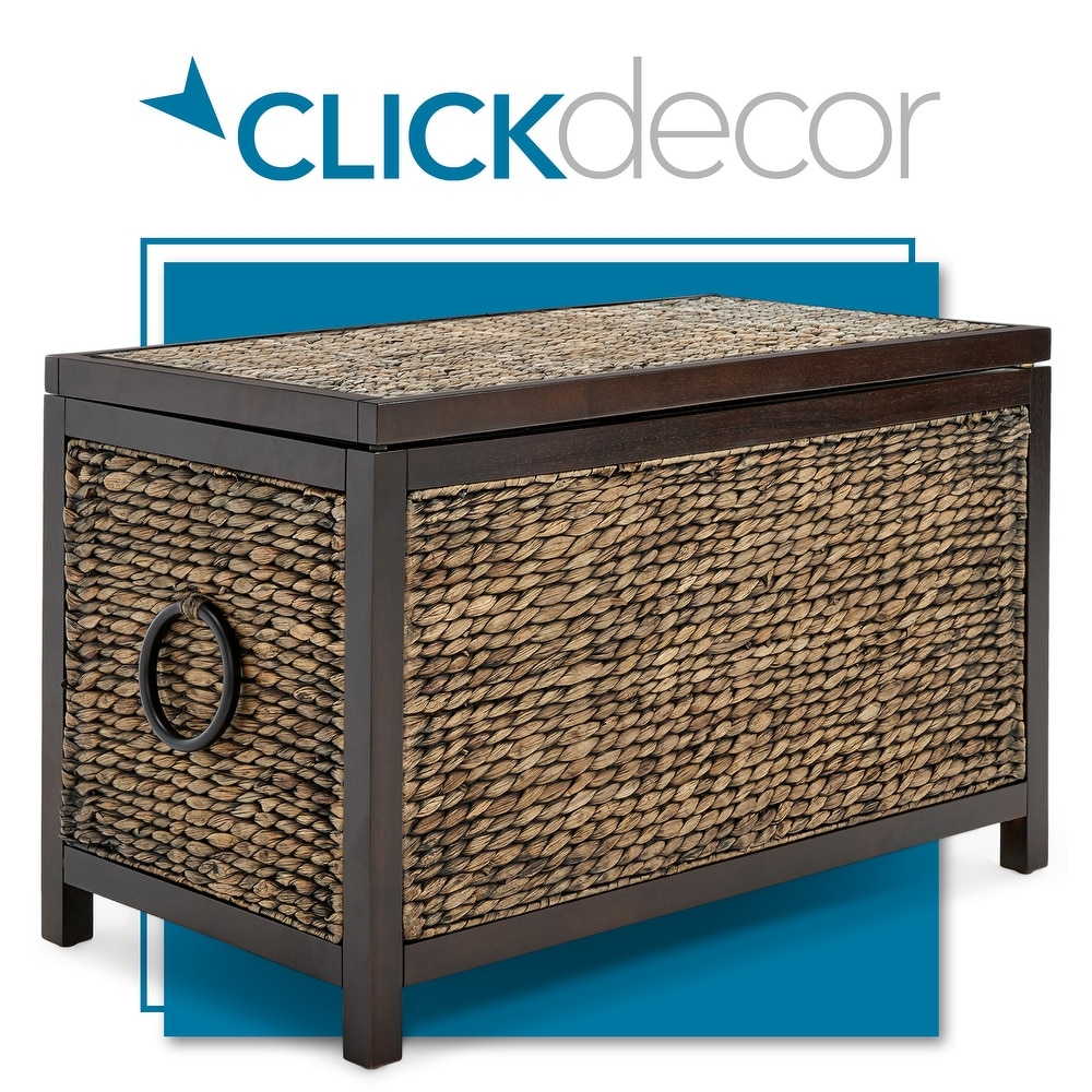 Storage Trunks Bed Bath & Beyond