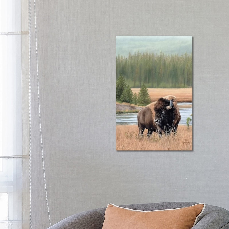 iCanvas "American Bison" by Rachel Stribbling Canvas Print - 26x18x1.5