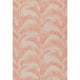 Option Coral