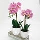 preview thumbnail 5 of 20, Artificial Phalaenopsis Orchid Flower Arrangement in White Pot 13in