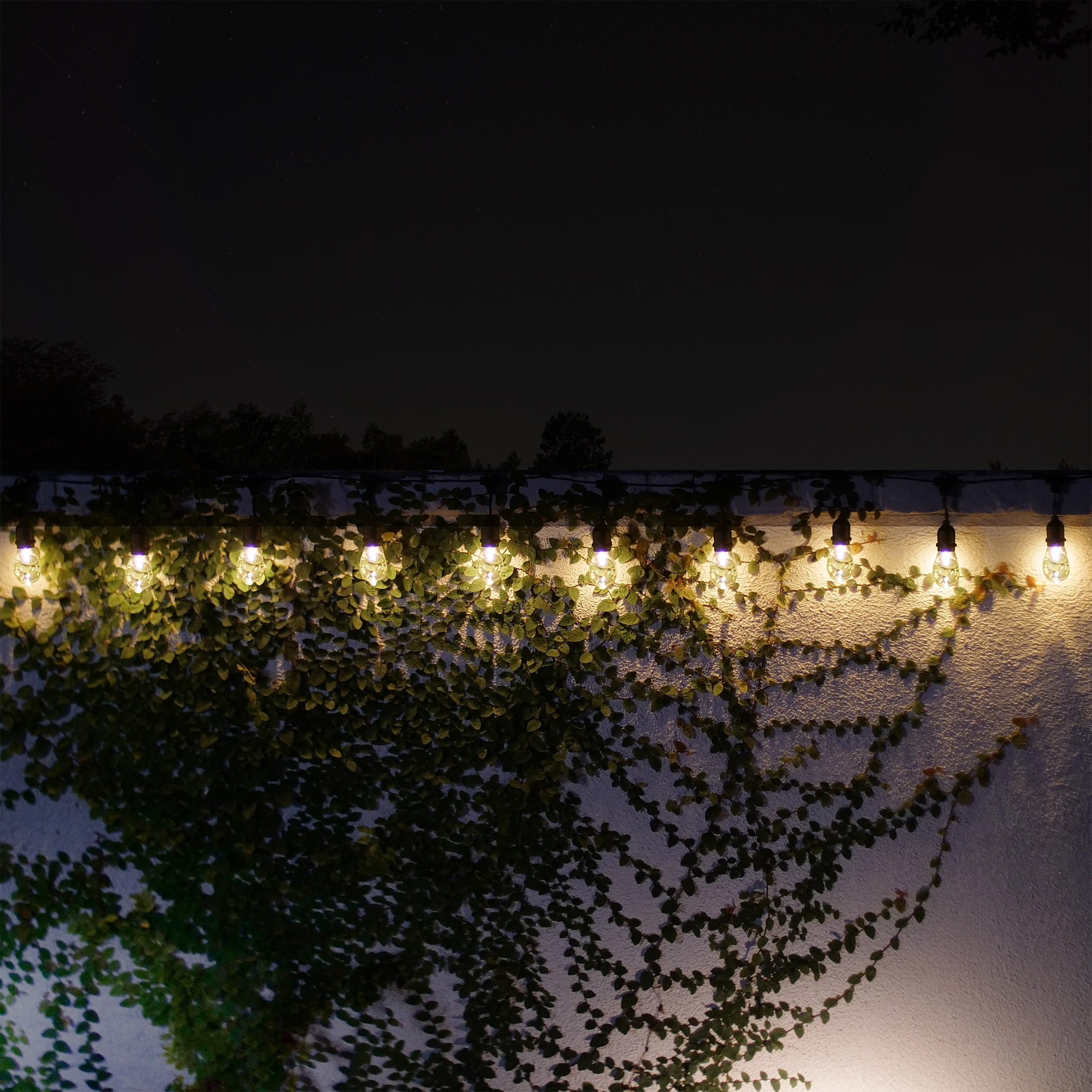 Alpine Corporation 93"L Indoor/Outdoor 10 Edison Bulb Hanging String Lights with Timer