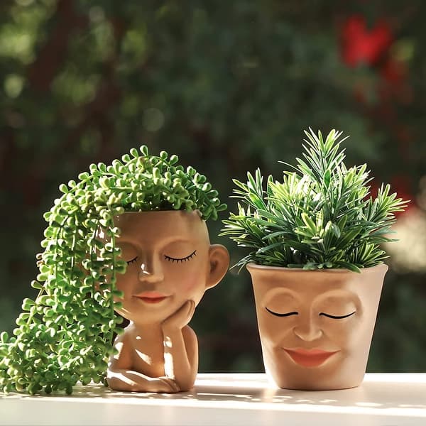 food for orchid plant TeaDrops Organic Orchid, Bromeliad & Tillandsia Plant Food Fertilizer