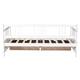 Option White