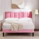 Option Pink