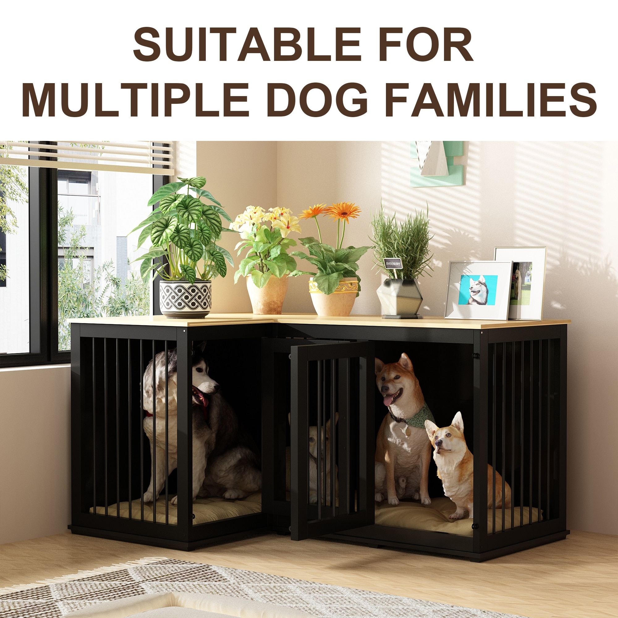 Pet Sitters Dog Daycare Furniture Doggy Daycare Disney Dog Kennel