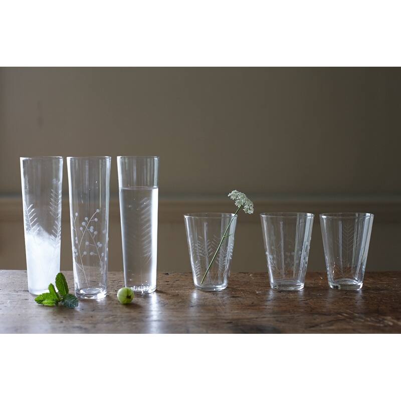 Sienna Botanical Etched Glasses, Mixed Set of 6
