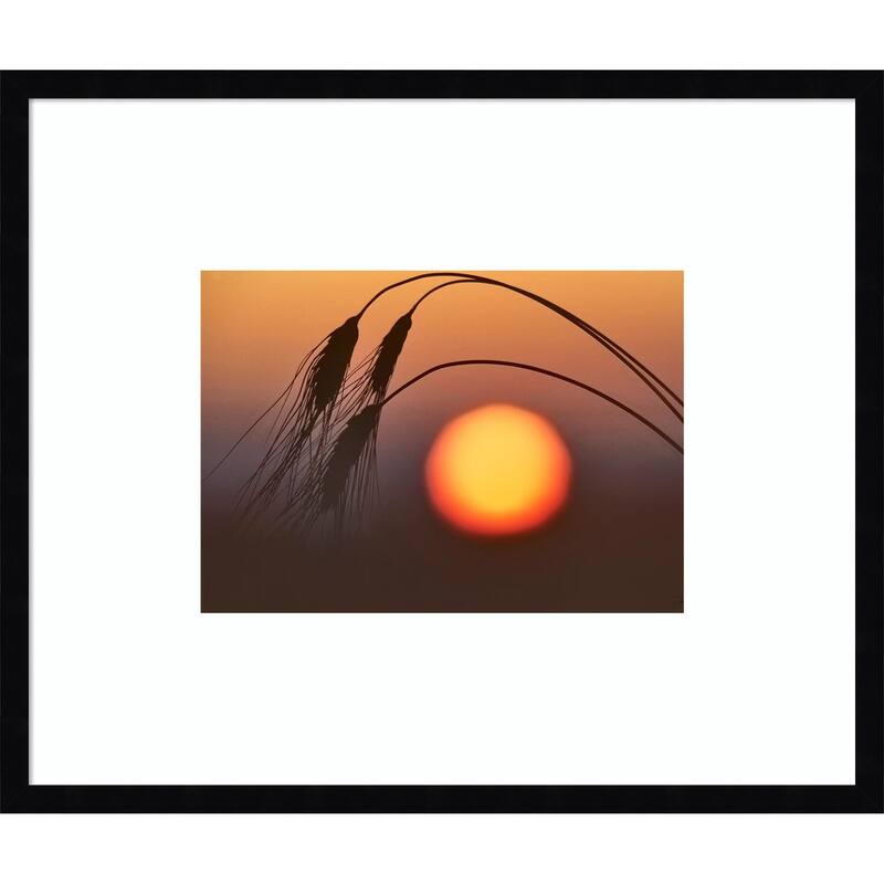 Wheat and Sunrise by Dennis Frates Wood Framed Wall Art Print