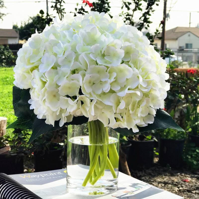 Enova Home Cream Artificial Silk Hydrangea Flowers Arrangement in Clear Cylinder Glass Vase with Faux Water for Home Decór