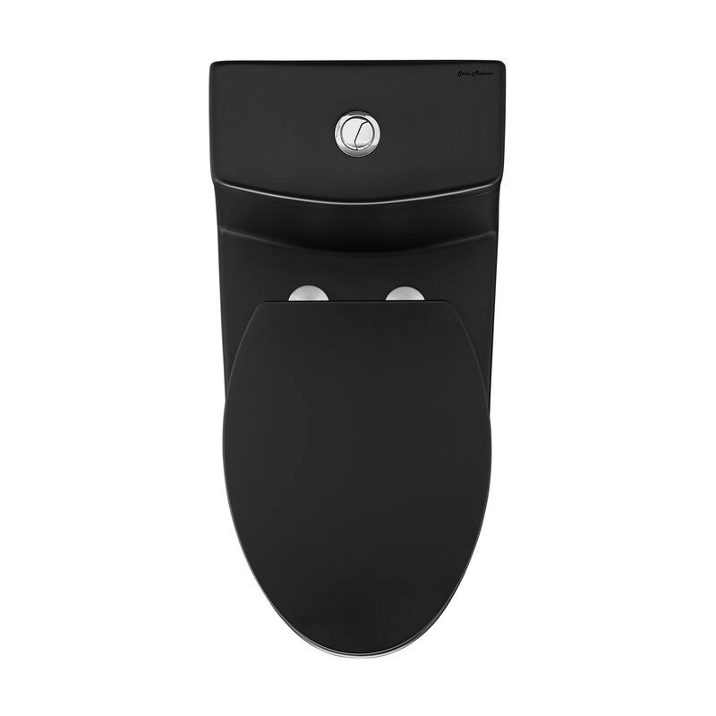 Tours One-Piece Elongated Toilet Vortex Dual-Flush 1.1/1.6 Gpf, Matte Black - 29.2" x 14.95" 28.4"