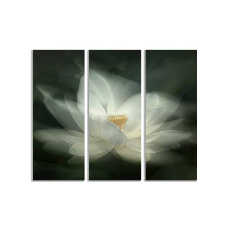 "Swaying" Framed 3-Piece Wall Art Set by Qing Zhao
